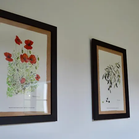 Bed & Breakfast Maison Maliga J&g House *